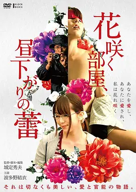 《花样年华》海报